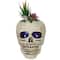 9" LED Lighted Succulent Halloween Skull Planter